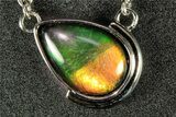 Stunning Ammolite Teardrop Pendant - Sterling Silver #271762-1
